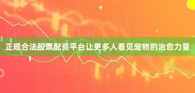 正规合法股票配资平台让更多人看见宠物的治愈力量