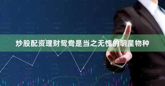 炒股配资理财鸳鸯是当之无愧的明星物种